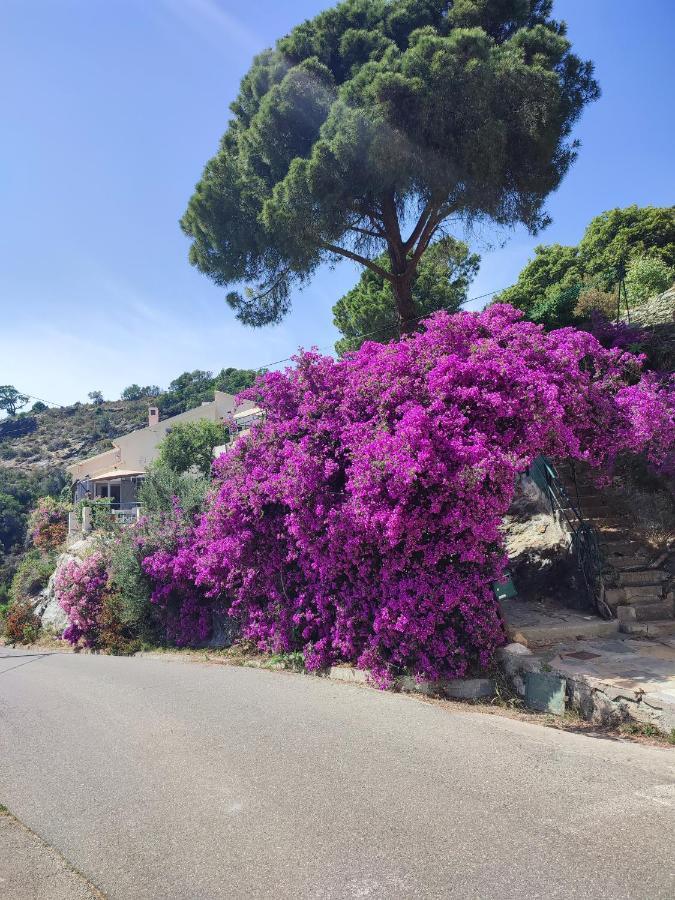 La Vallicella Farinole ภายนอก รูปภาพ