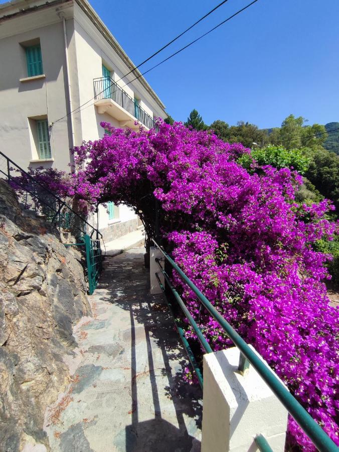 La Vallicella Farinole ภายนอก รูปภาพ